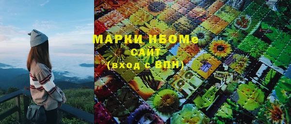 PSILOCYBIN Майский