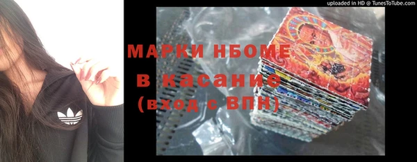 PSILOCYBIN Майский