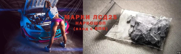 PSILOCYBIN Майский