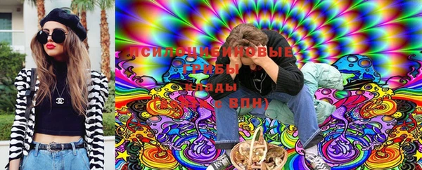 герыч Магас
