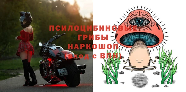 PSILOCYBIN Майский