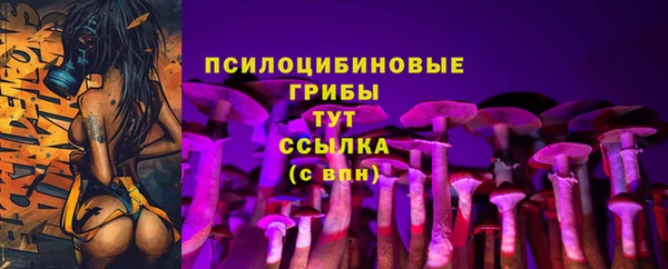 PSILOCYBIN Майский