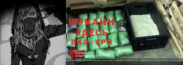 шишки Бердск
